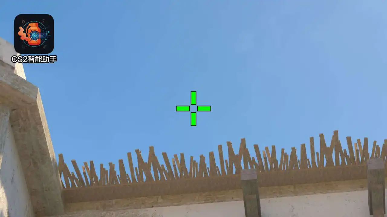 放大查看