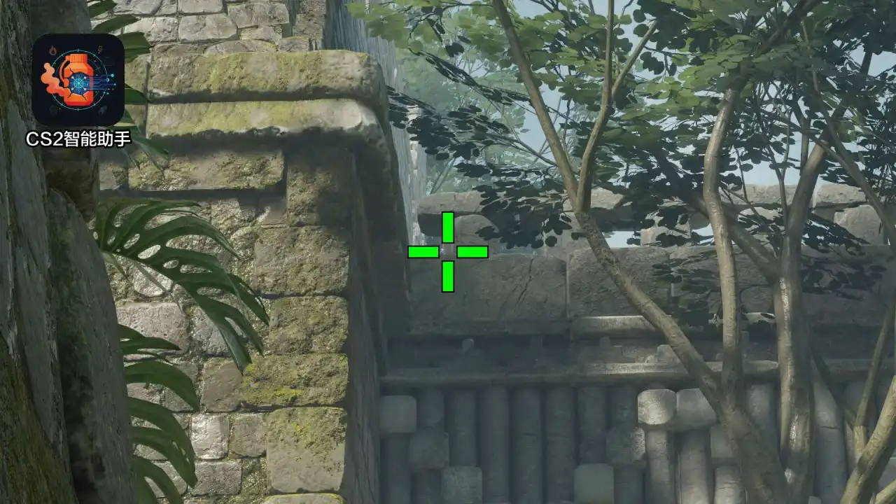 放大查看