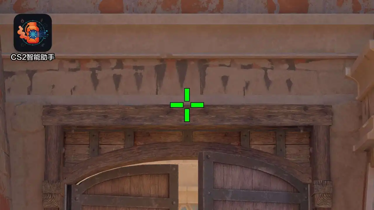 放大查看