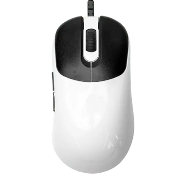 VAXEE ZYGEN NP-01S Glossy