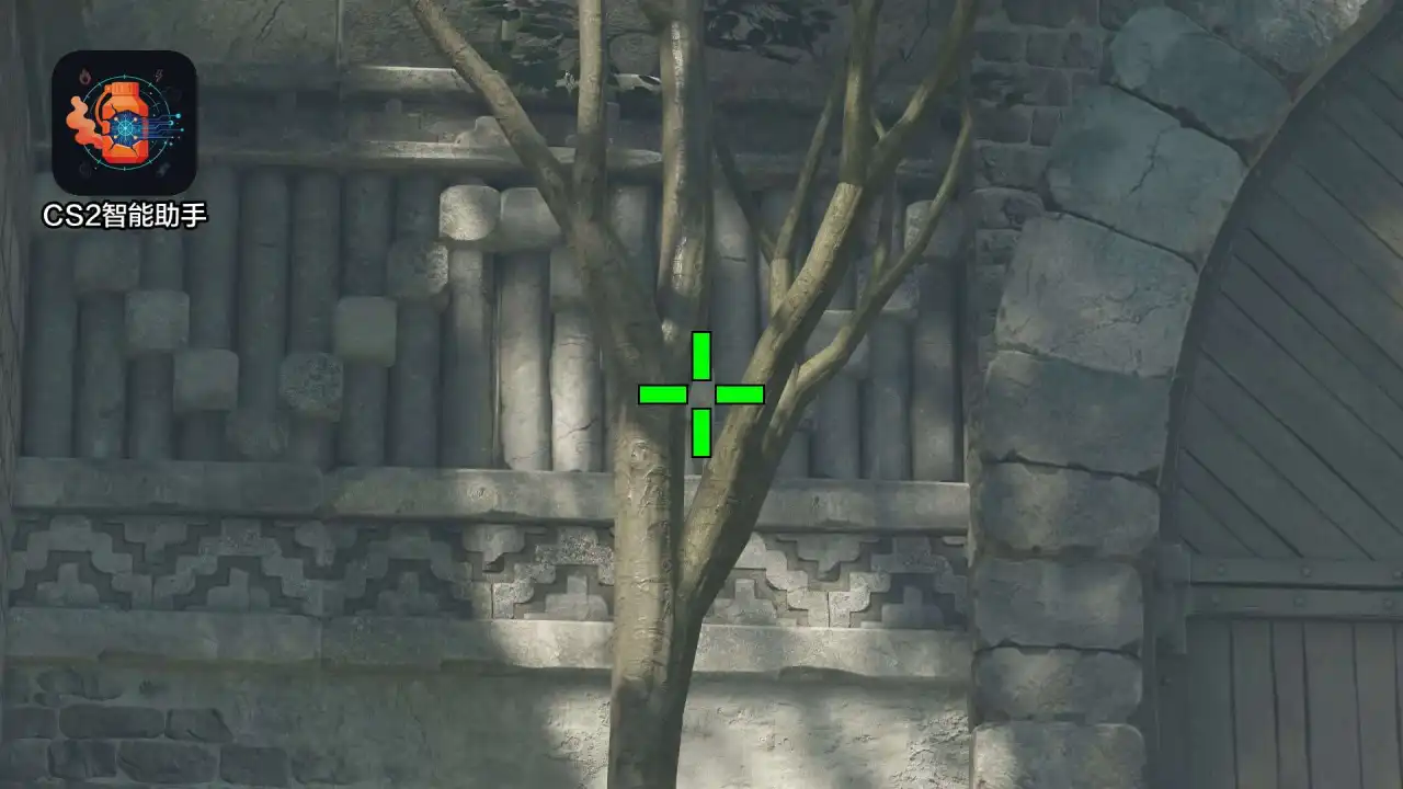 放大查看