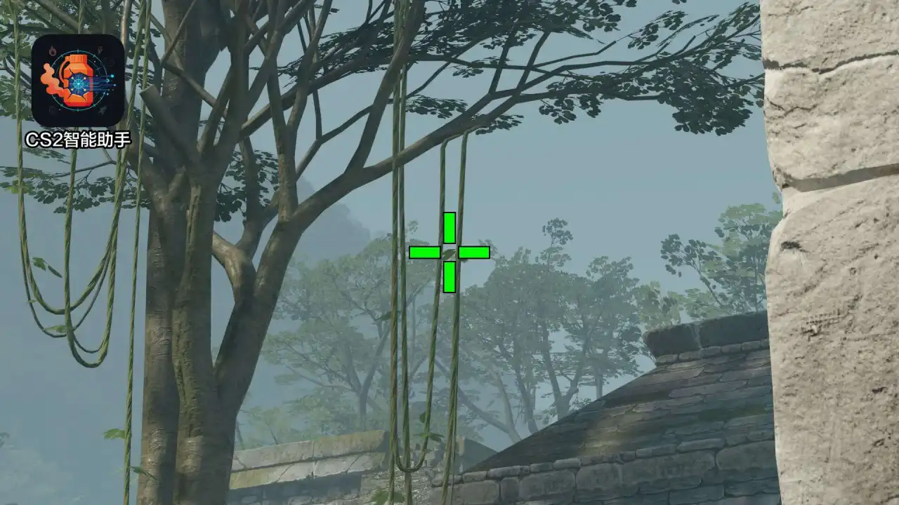 放大查看