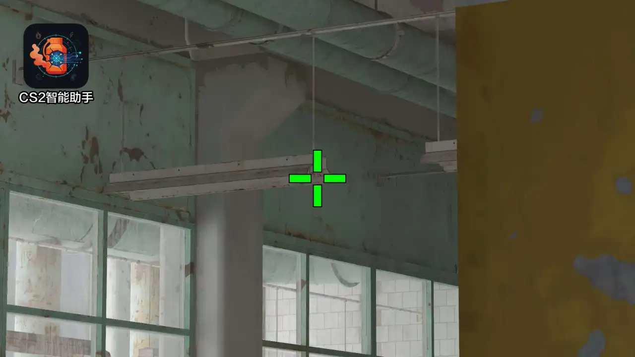 放大查看