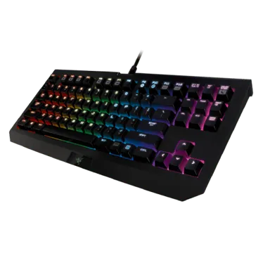 雷蛇 Blackwidow Chroma TE V2
