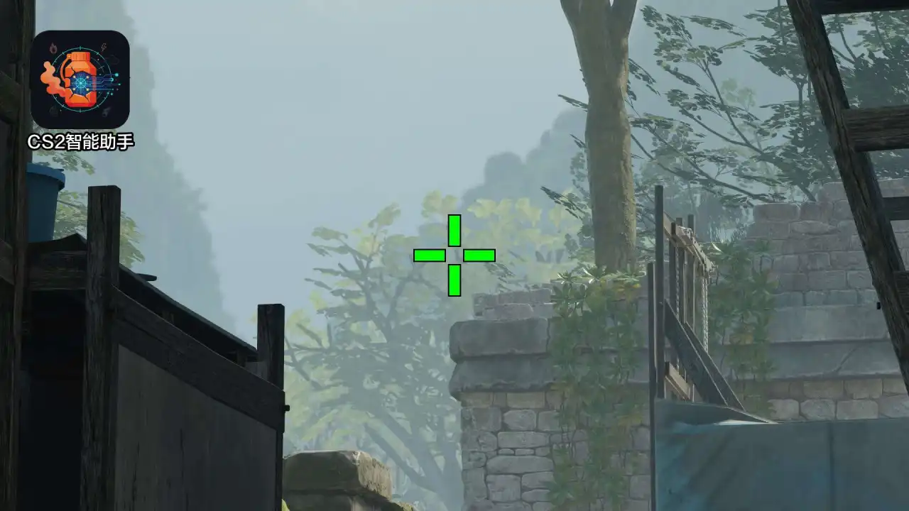 放大查看
