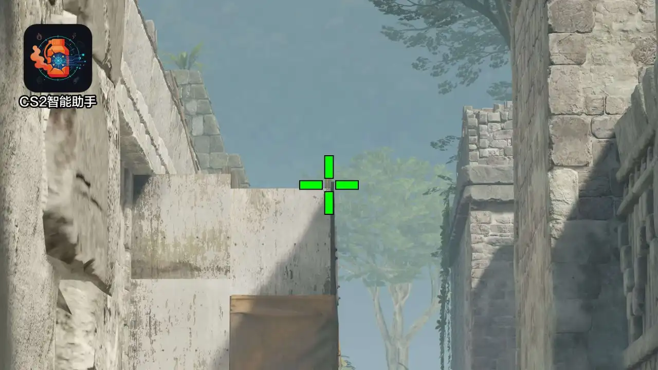 放大查看