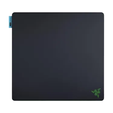 雷蛇 Gigantus V2 Pro Control