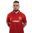 torzsi