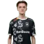 robo