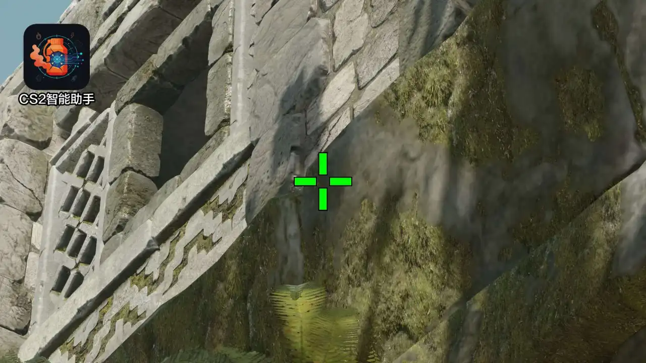 放大查看
