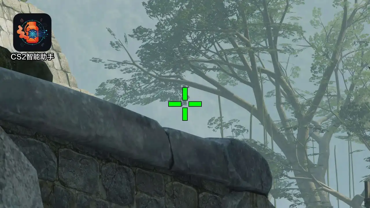 放大查看